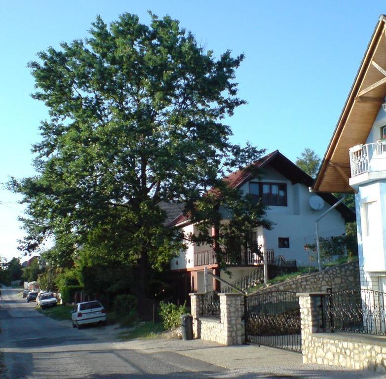 Budai Garden House Hévíz 객실 사진