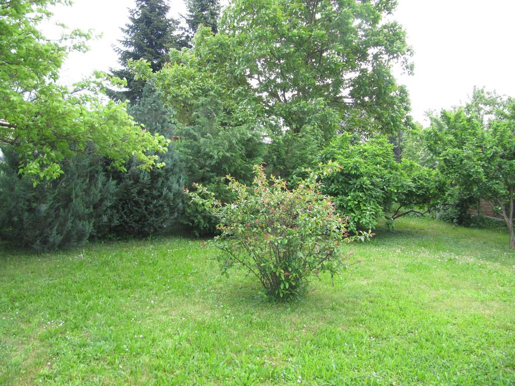 Budai Garden House Hévíz 객실 사진